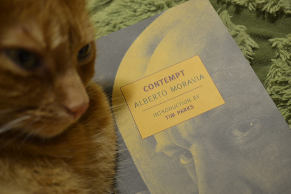 Alberto Moravia's Contempt features a cover with a very serious expression on a man's face.