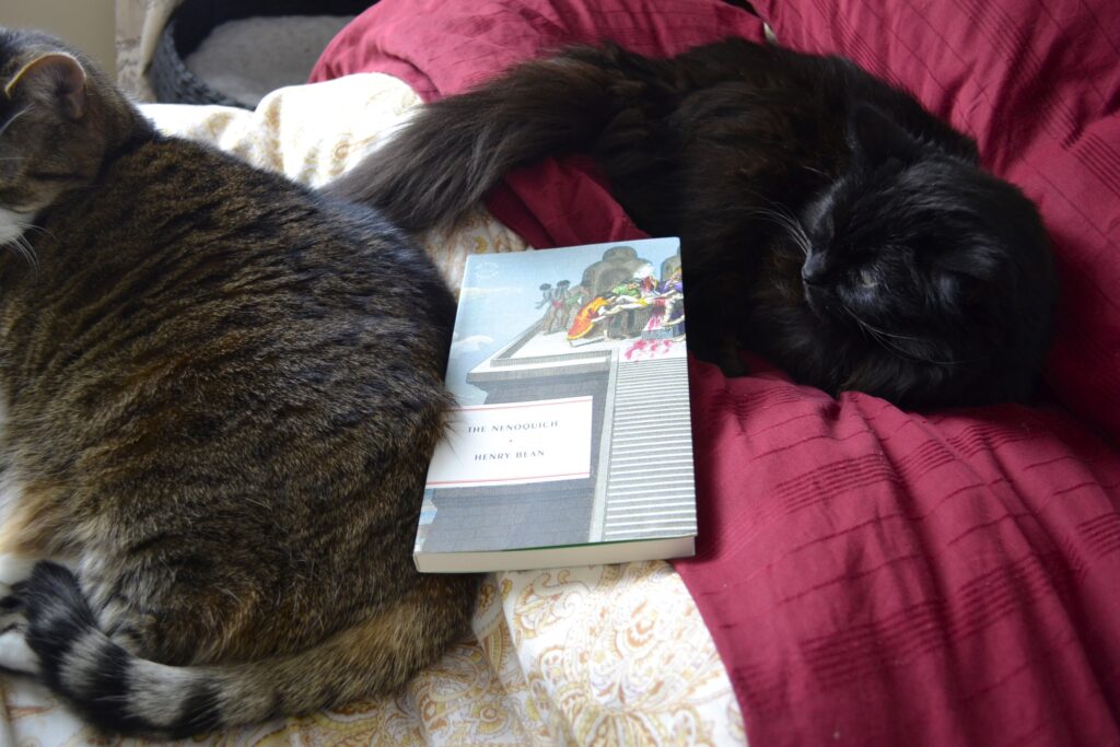 A fawn tabby cat with a striped tail and a black fluffy cat lie on a bed with a book between them. The black cat's tail brushes the shoulder of the tabby.