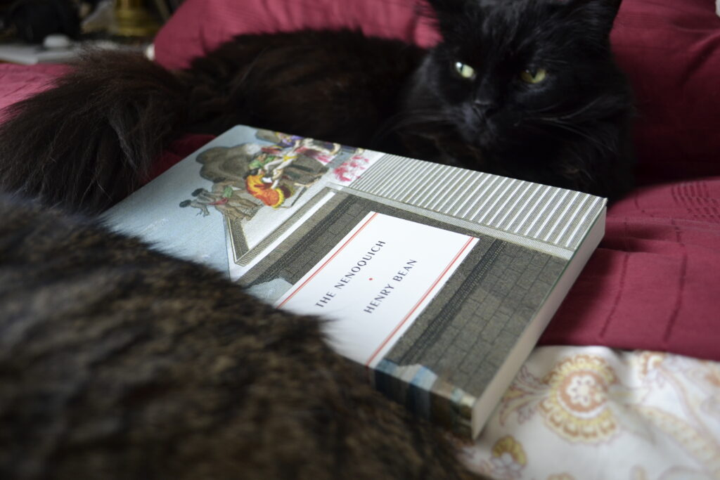 A long-haired black cat and a short-haired brown tabby sit on either side of a book: The Nenoquich by Henry Bean.