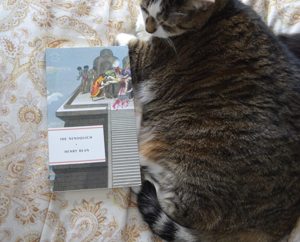 A chubby brown tabby cat sits beside a book. The book depicts an Aztec sacrifice, where the victim is being disembowel at the top of a temple.