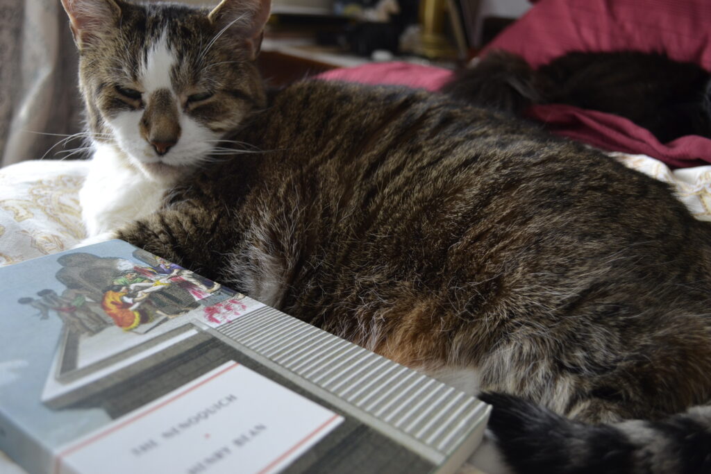 A brown tabby with a striped tail lies beside a book picturing an Aztec sacrifice. Behind her, a fluffy black cat is sleeping.