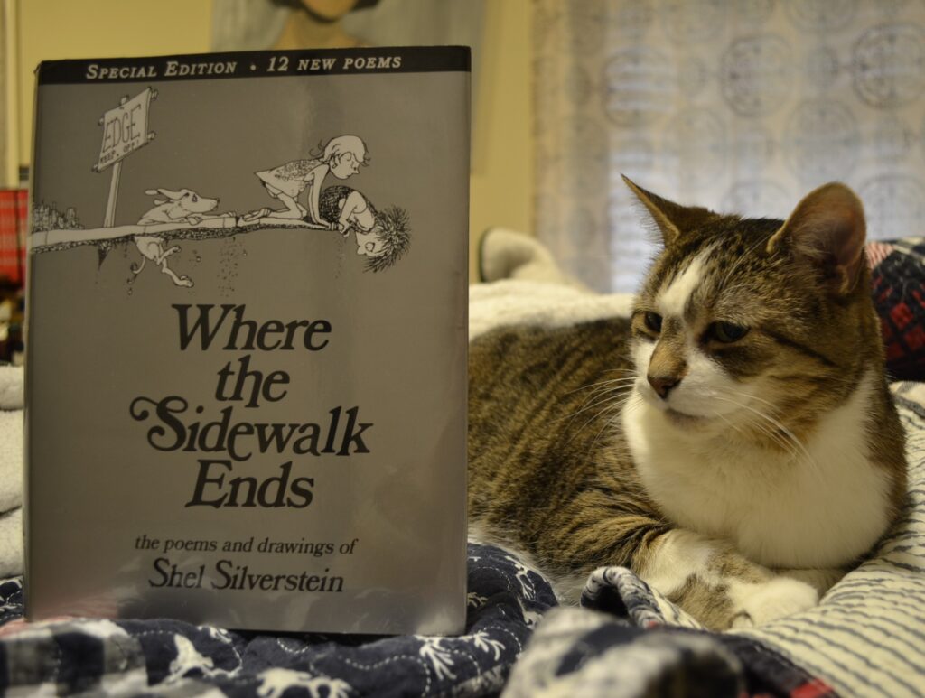 A tabby cats sits on a bed beside Where the Sidewalk Ends, which features a picture of two people and a dog looking over the edge of a protruding sidewalk.