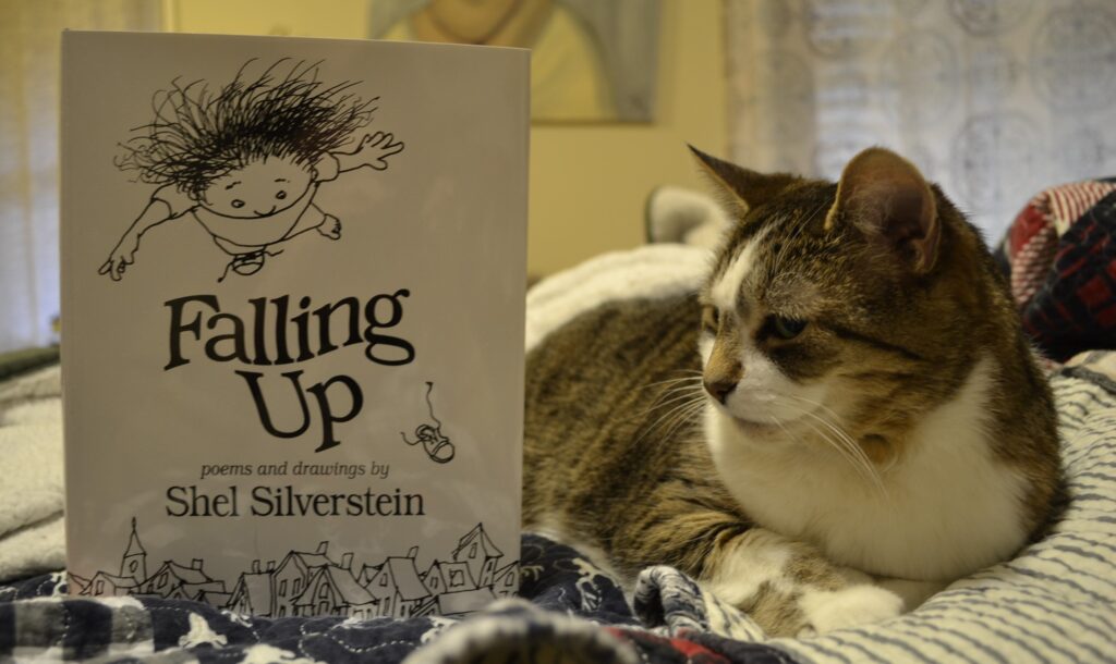 A tabby cat sits on a bed looking at a copy of Falling Up — which features a drawing of a child falling upwards into the sky.