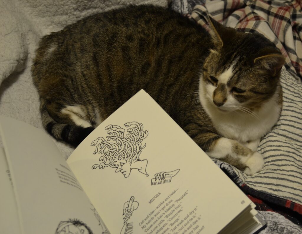 A tabby sits beside an open book. The book's illustration shows Medusa frowning as she holds a comb and a brush. Her snake hair is happy.