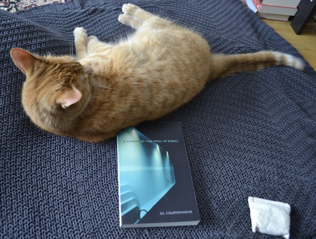 A orange tabby lies with her back against a copy of A Sunday at the Pool in Kigali.
