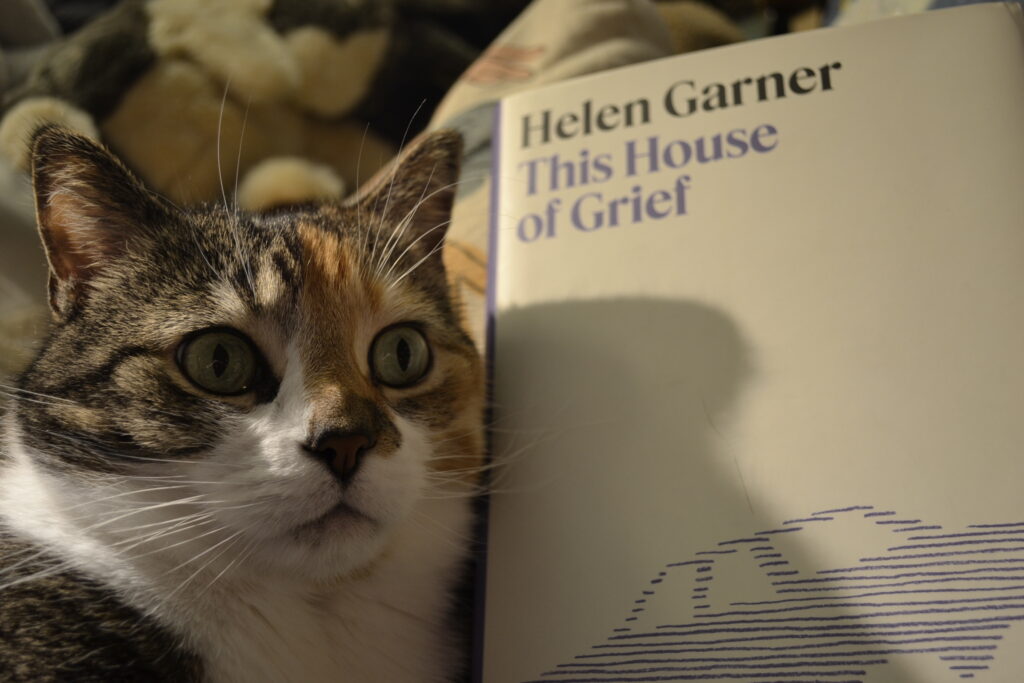 A calico tabby looks to the far distance with wide eyes, resting her head against Helen Garner's book This House of Grief.