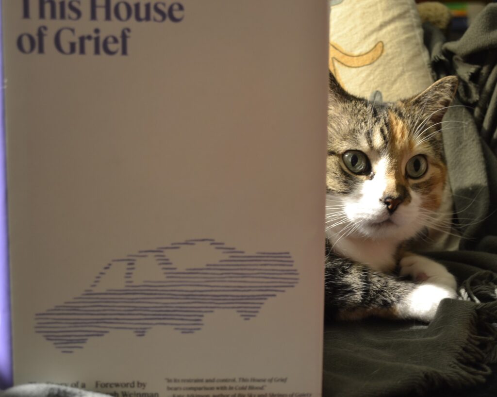 A calico tabby looks out from behind a book. The book is white with a purple sketch of a car on the cover.