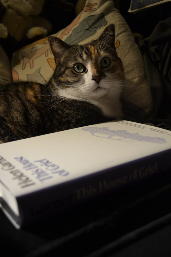 A calico tabby rests in dim light beside a white book with purple writing on the cover.