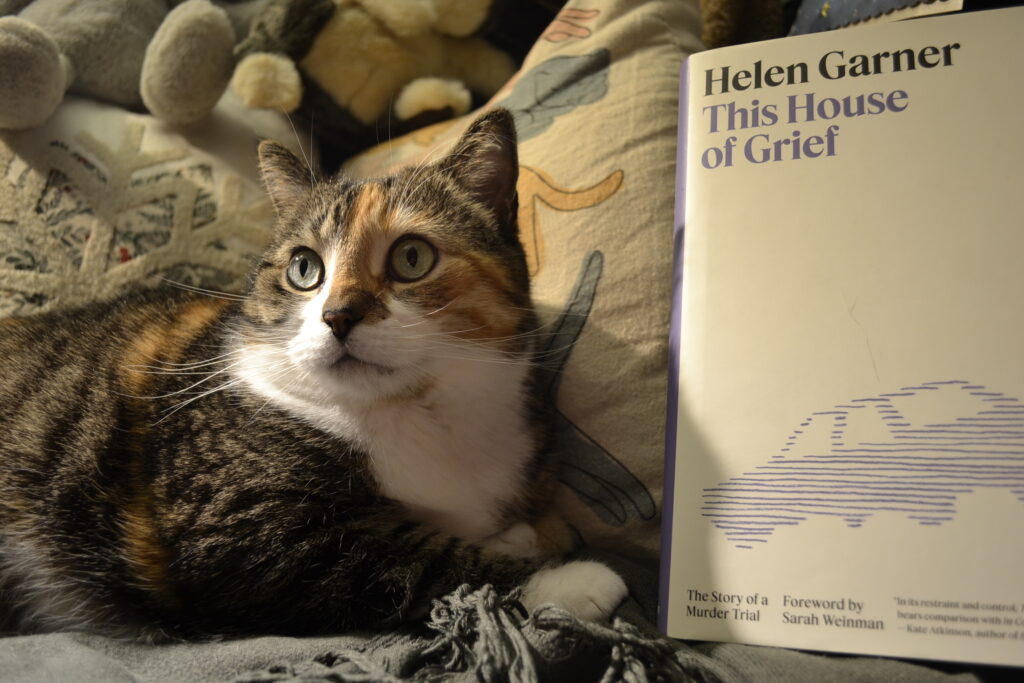 A calico tabby looks up sadly. Beside her is a book: This House of Grief by Helen Garner.