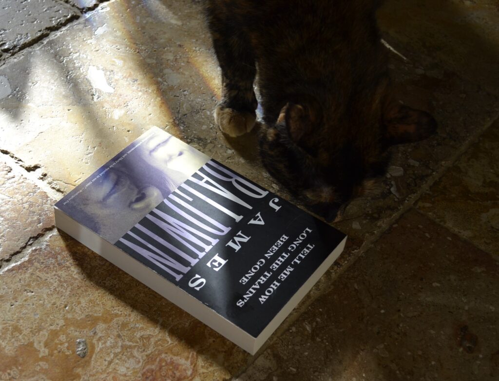 James Baldwin's Tell Me How Long the Train's Been Gone lies on a tile floor. A tortie sniffs the corner.