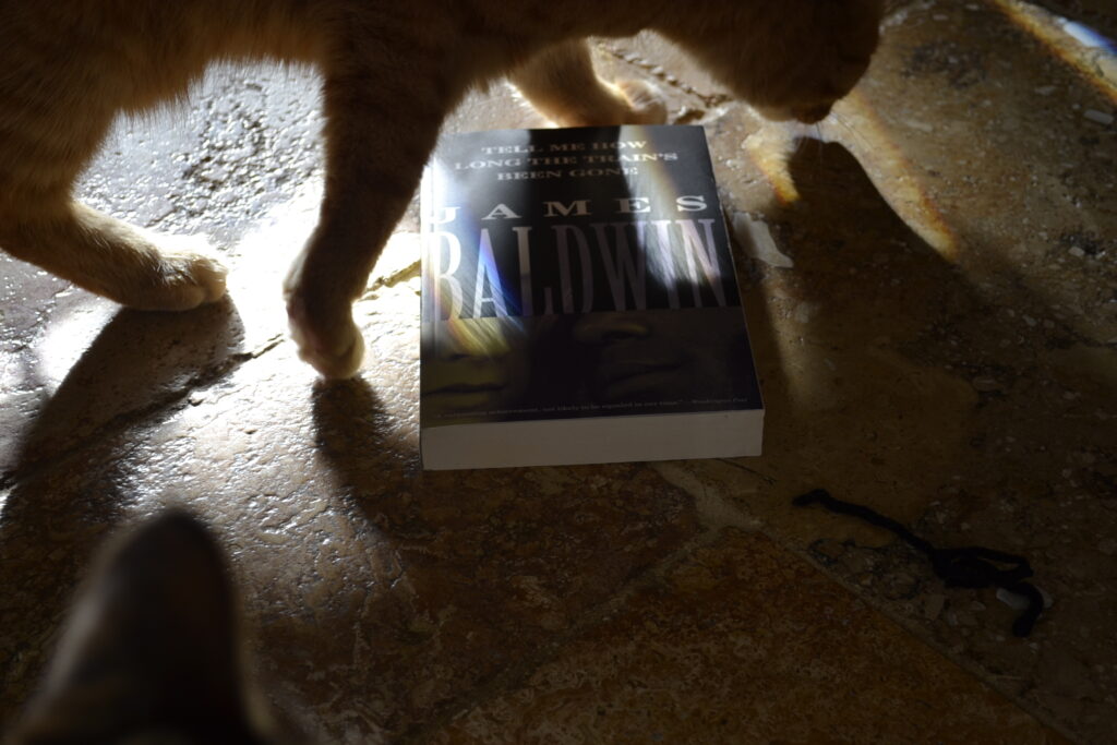 An orange cat walks over a copy of James Baldwin's Tell Me How Long the Train's Been Gone.