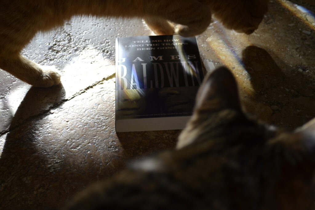 An orange cat and a tabby cat stand in rainbow-tinted light over a book by James Baldwin.