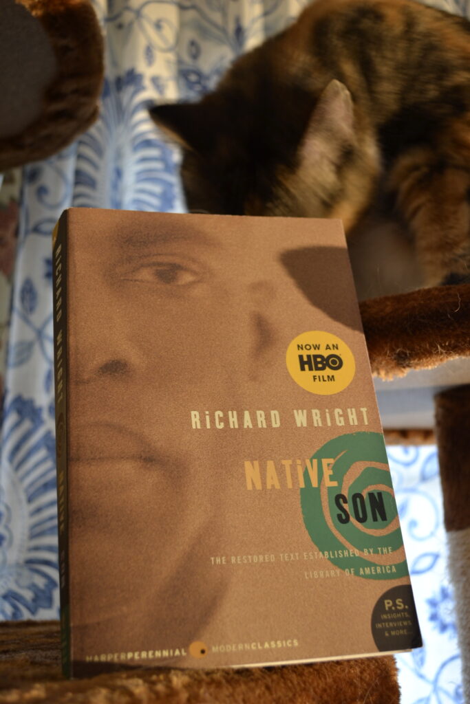 The book Native Son has a cover featuring a picture of half of a Black man's face. This edition also says 'Now an HBO Film' and 'The restored test established by the library of America'. It is published by Harper Perennial.