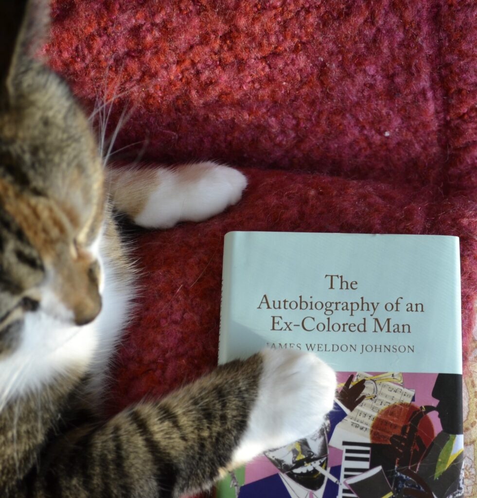 A calico tabby rests with one paw on The Autobiography of an Ex-Colored Man.
