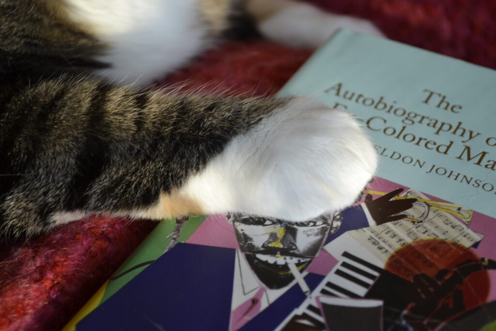 A white paw rests on the cover of The Autobiography of an Ex-Colored Man by James Weldon Johnson.