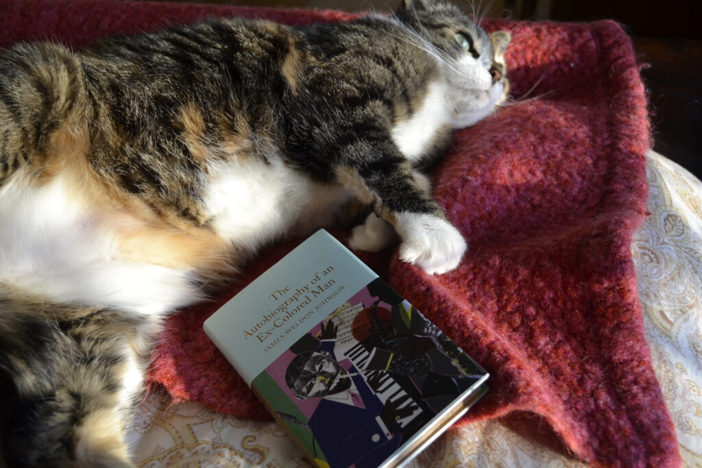 A calico tabby lies belly-up in a sunbeam. Beside her is The Autobiography of an Ex-Colored Man by James Weldon Johnson.