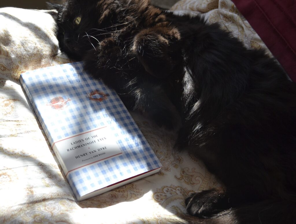 A black fluffy cat lies belly-up in a sunbeam, luxuriously floofy. Beside her is a book: Ladies of the Rachmaninoff Eyes.