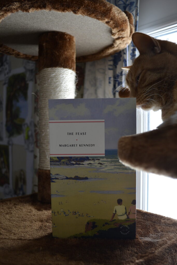An orange tabby sniffs the corner of The Feast by Margaret Kennedy.