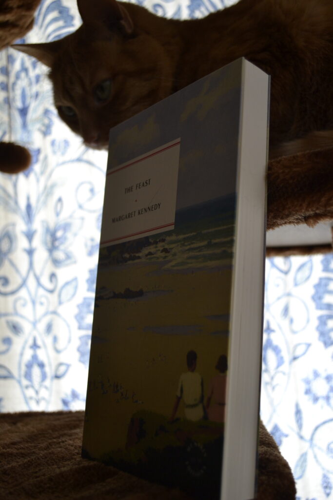 An orange tabby lurks in shadows behind a book with a picture of two people sitting by the sea.