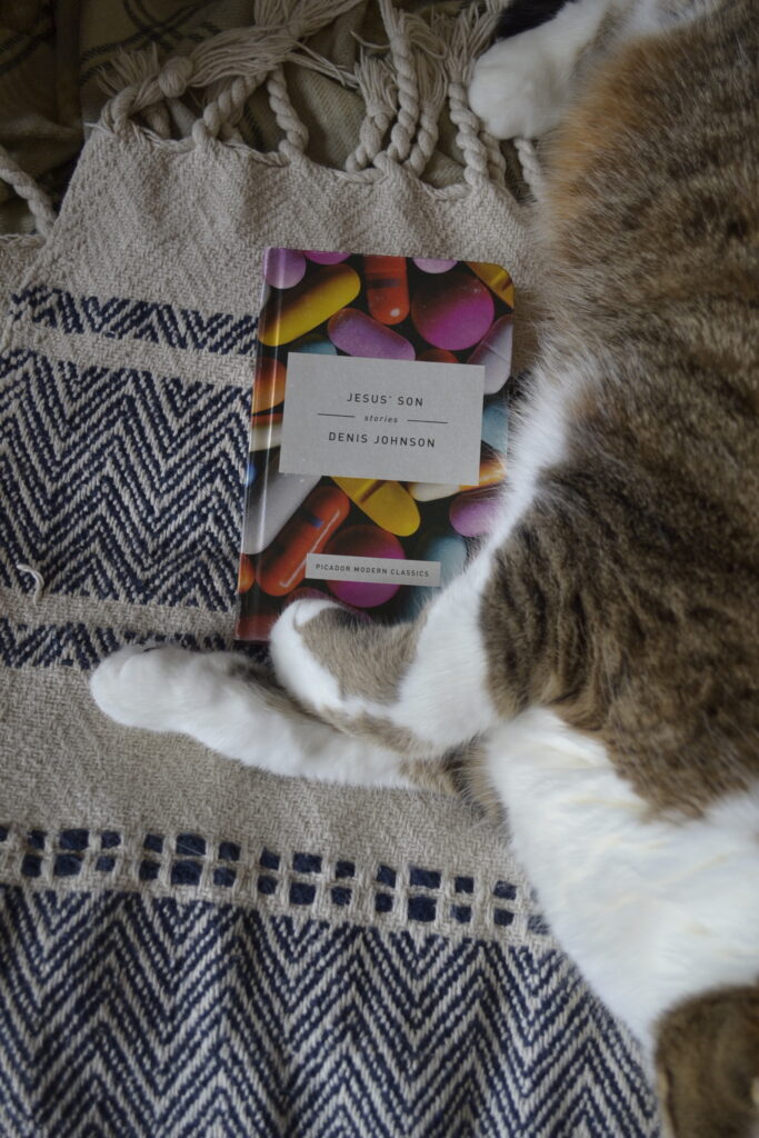 A tabby cat lies with her paws on either side of a small book: Jesus' Son by Denis Johnson.