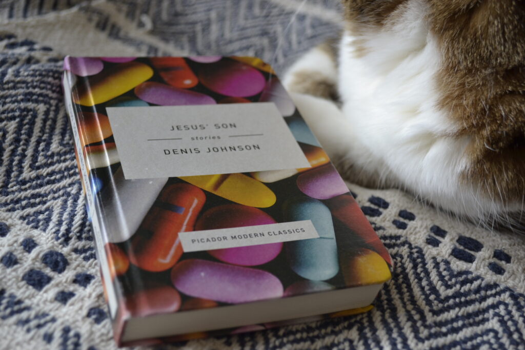 A book — Jesus' Son by Denis Johnson — lies on a patterned blanket beside a tabby cat.