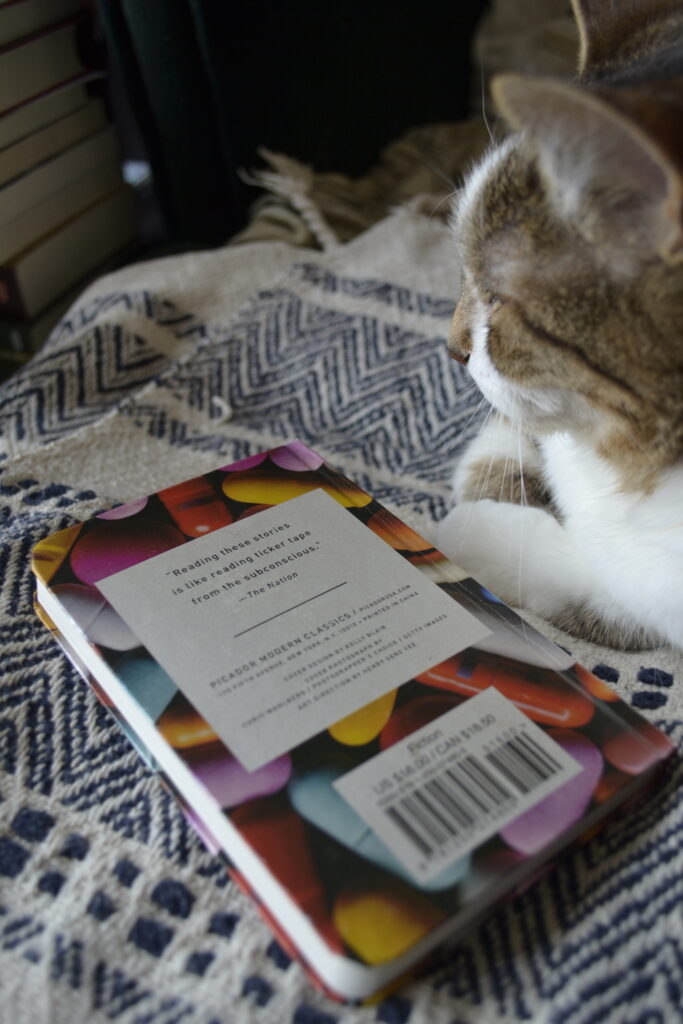 A tabby cat lies on a patterned blanket next to a small hardcover book.