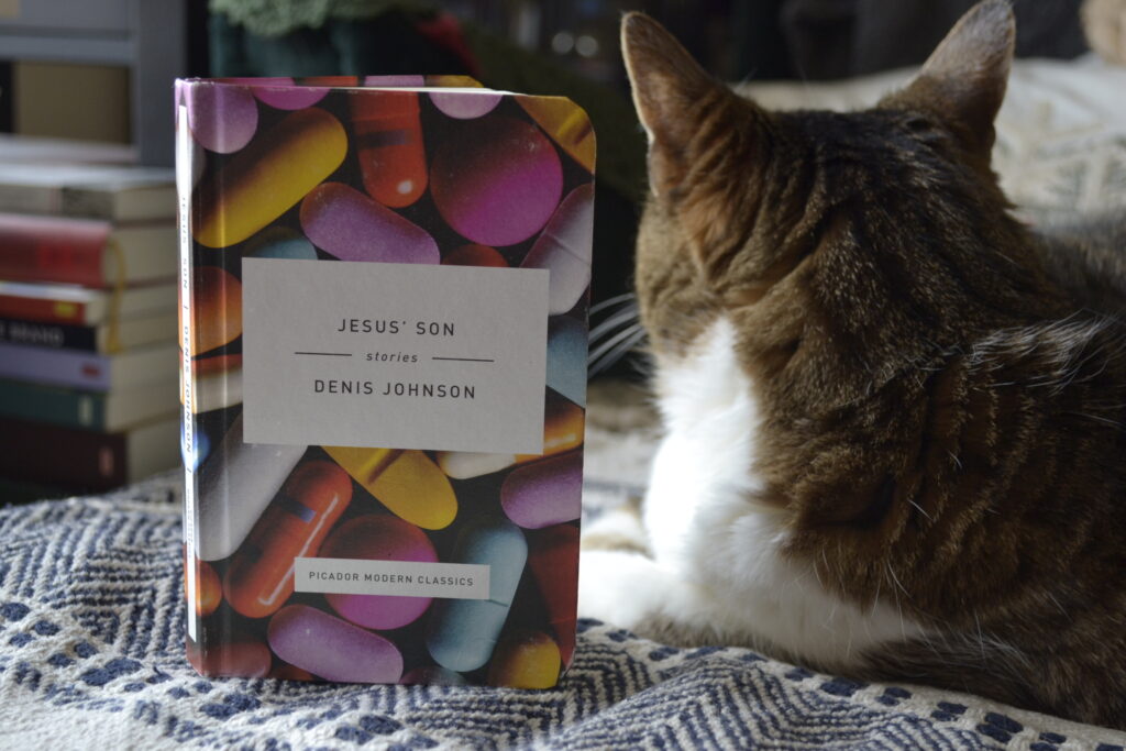 A tabby cat looks away from a small hardcover with candy-coloured pills on the cover.