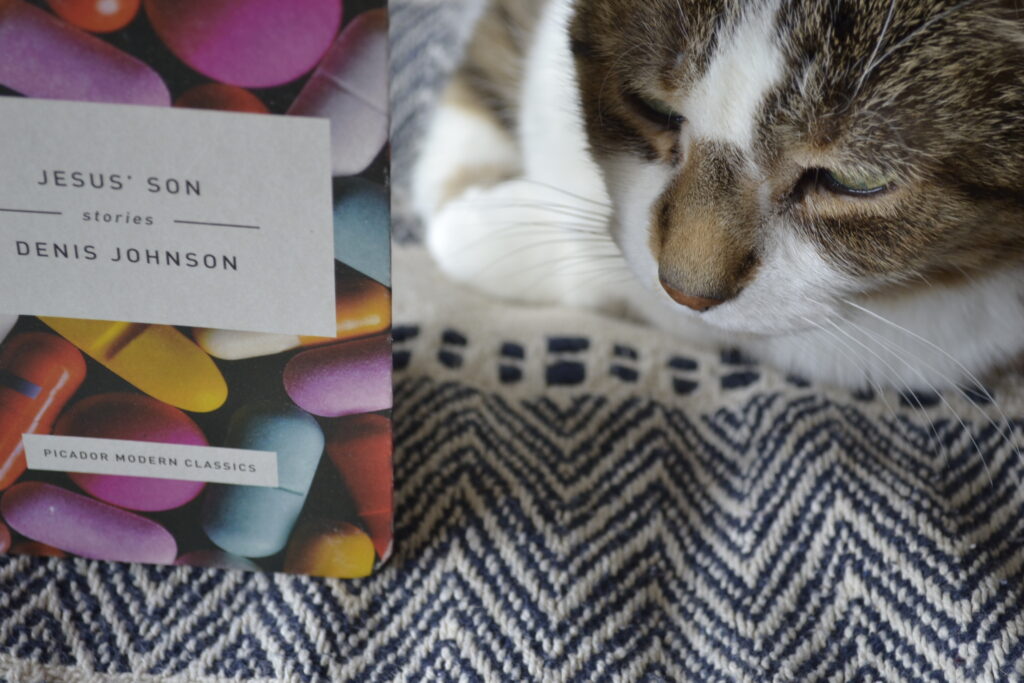 A tabby cat sits beside a book: Jesus' Son, Stories by Denis Johnson. The book has a picture of candy-coloured pills on the cover.
