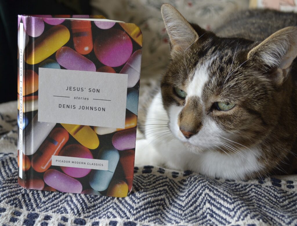 A tabby cat with big ears and green eyes sits beside Jesus' Son, a book by Denis Johnson.