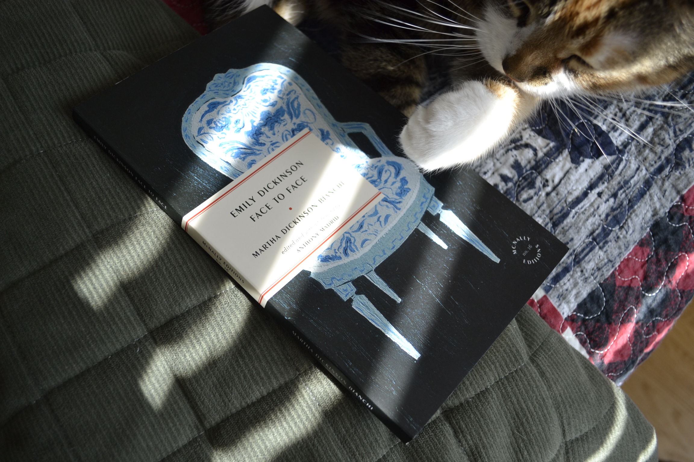 In slatted sunlight, a calico tabby rests one paw on top of the book Emily Dickinson Face to Face.