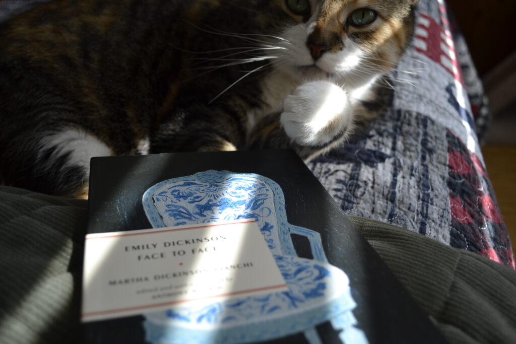 A calico tabby licks its paw beside Emily Dickinson Face to Face.