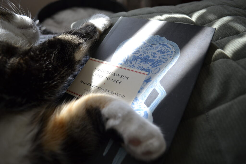 A calico tabby lies with its paws framing a book, one going up and one going across the cover.