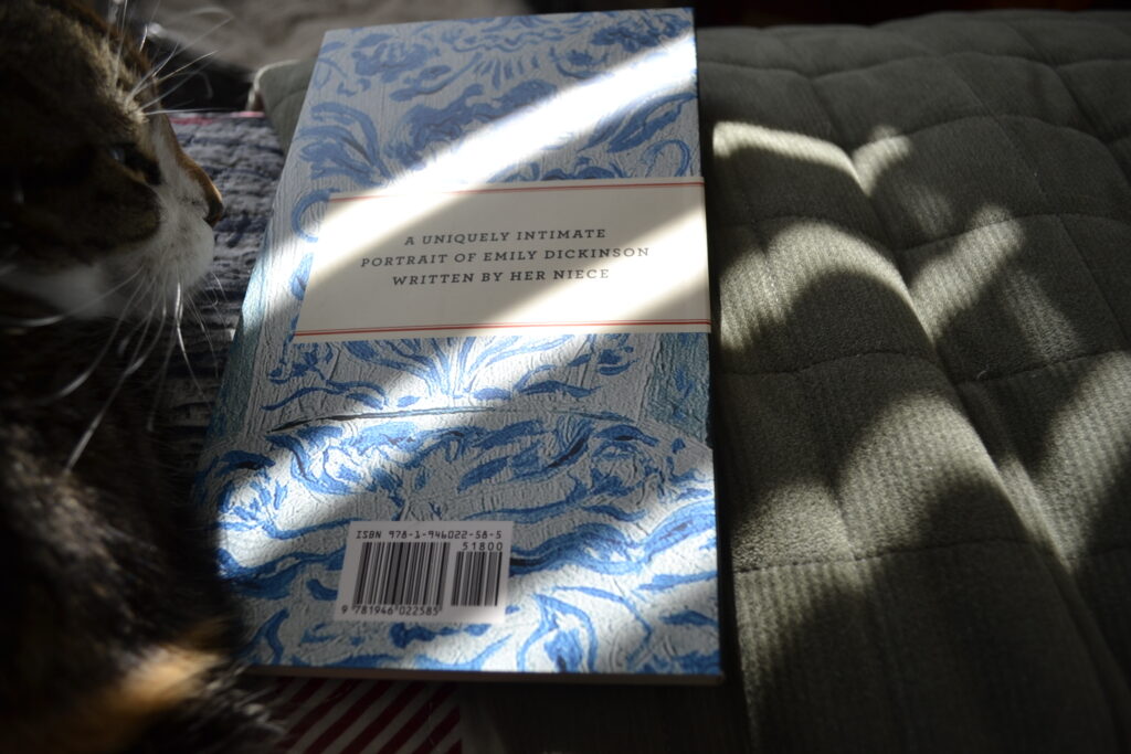 In slatted sunlight, a calico tabby lies beside a book covered in loosely painted blue flowers on a white wash background.