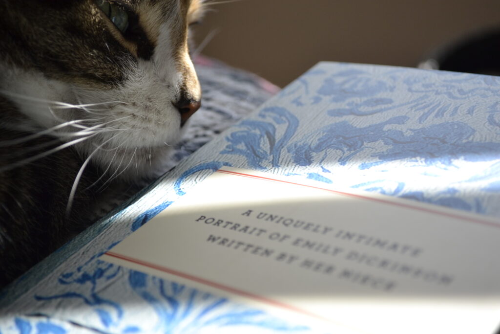 A calico tabby leans towards the description on the back of a book, which reads "A uniquely intimate portrait of Emily Dickinson written by her niece."