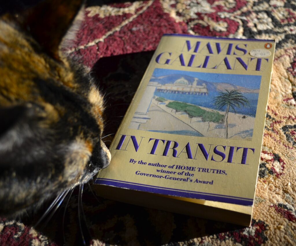 A tortoiseshell cat sniffs the corner of a vintage edition of Mavis Gallant's In Transit.
