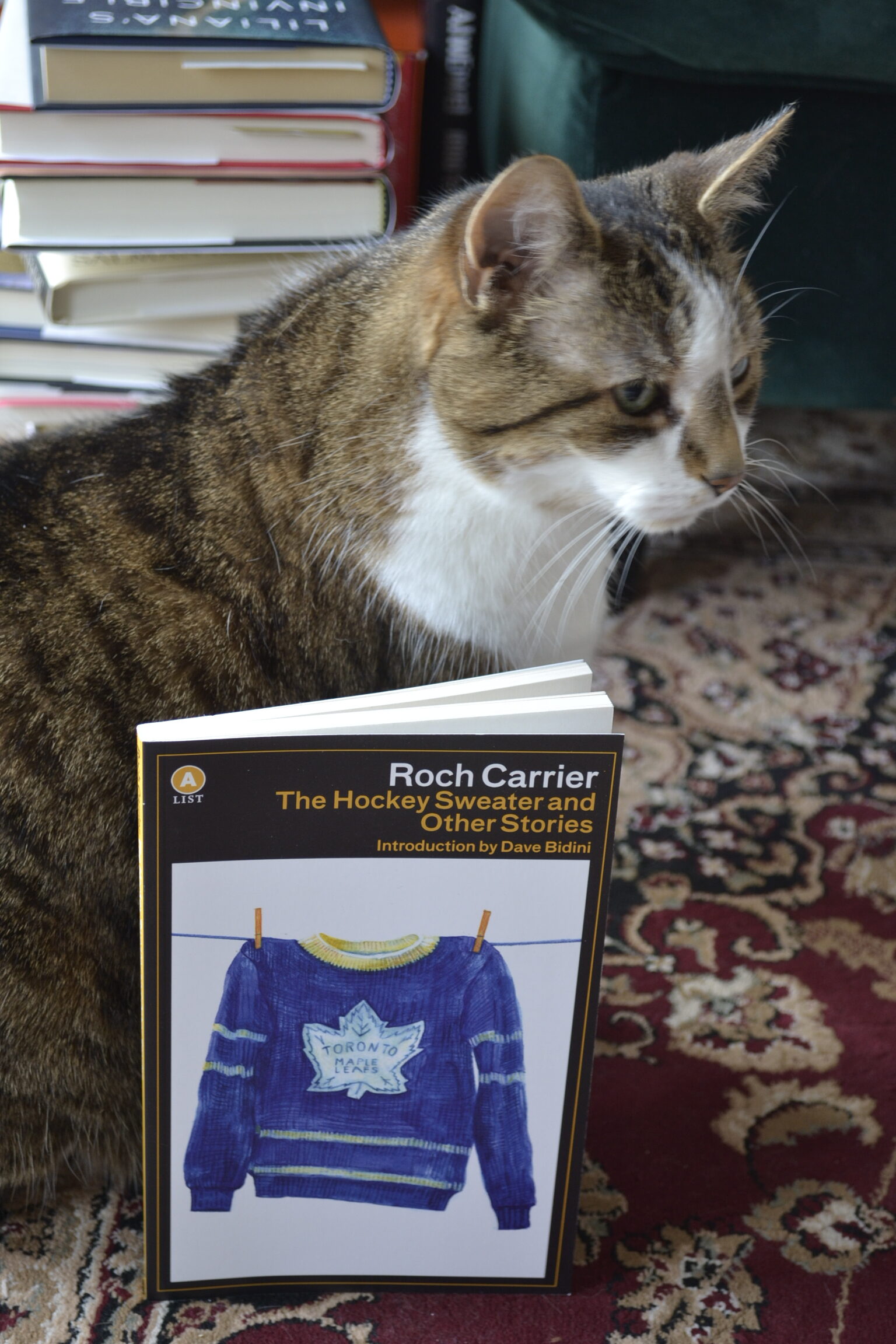 A tabby cat sits beside a book. The cover of the book has a black border with a yellow pinstripe around a drawing of a blue and white hockey sweater.