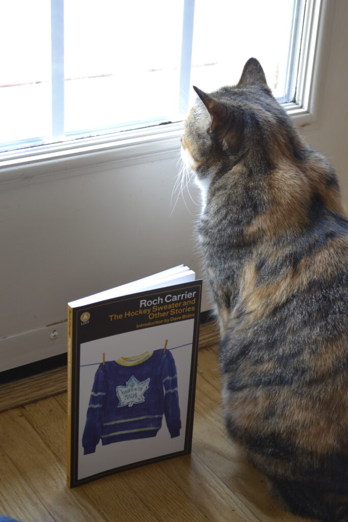 A calico tabby looks out a window. Beside her is a book with a hockey sweater drawing on the cover.