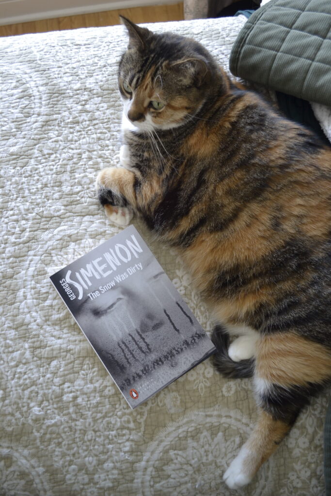 A calico tabby lies beside a book: The Snow Was Dirty by Georges Simenon.