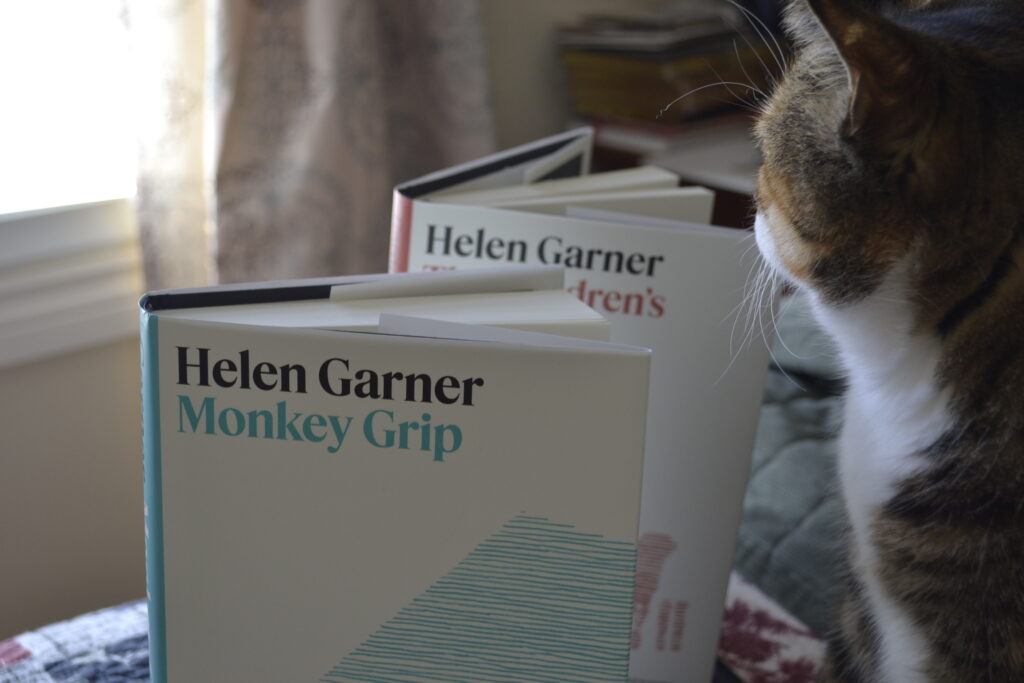 A calico tabby looks over the tops of two standing books.
