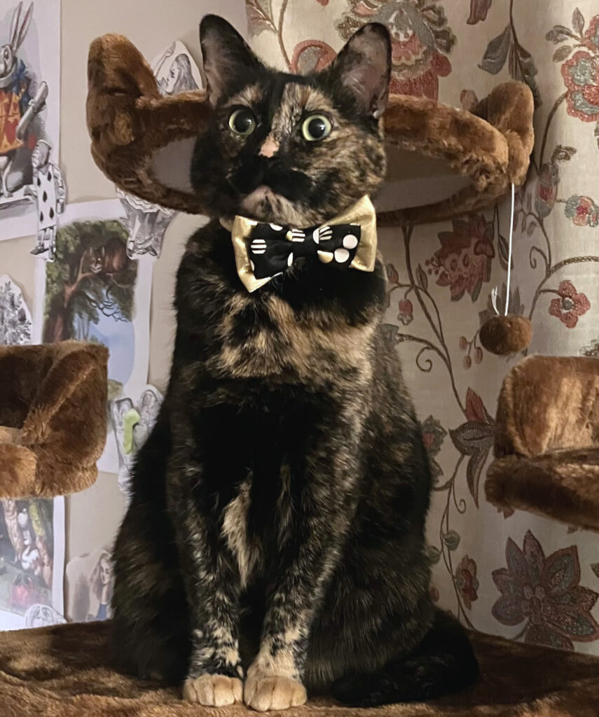 A tortoiseshell cat sits primly with her paws together and holds her head high. She's wearing a golden bow tie with black-and-white polka dot accents.