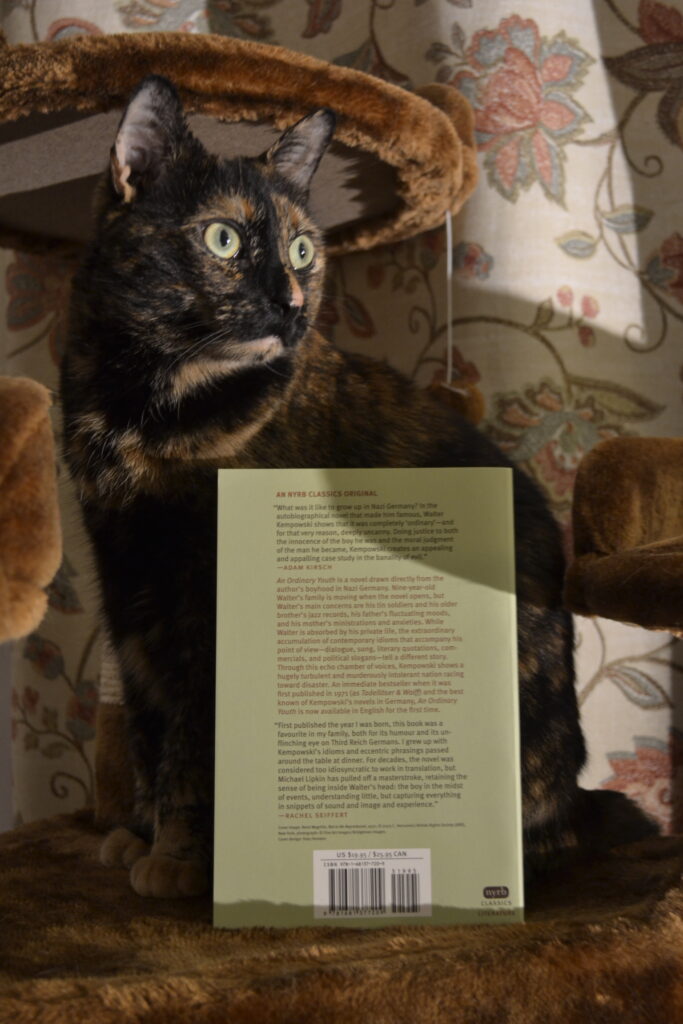 A tortie sits behind a book. The green back cover of the book is facing out.