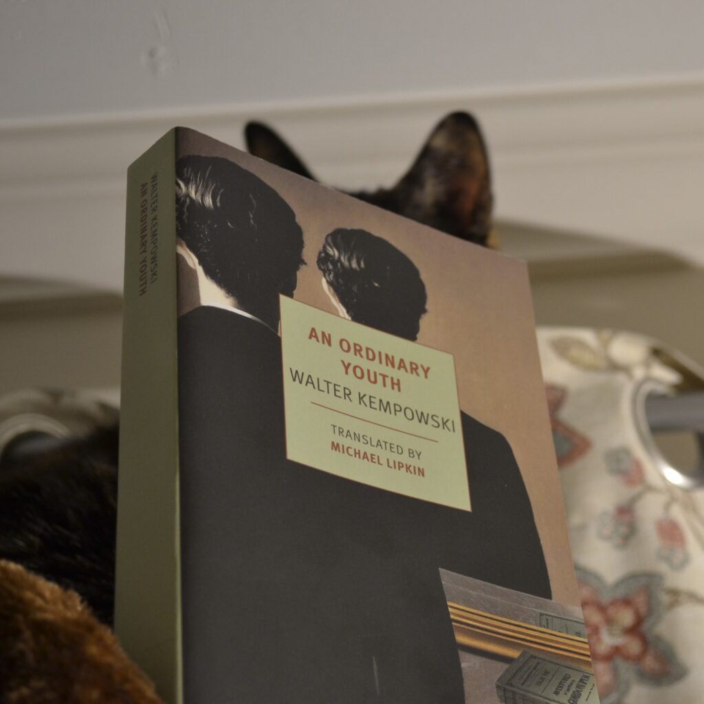 Behind a book, a cat's ears are visible. The book is An Ordinary Youth by Walter Kempowski.