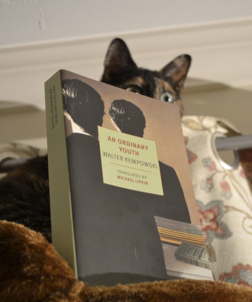 A cat peaks over a book. The book is An Ordinary Youth by Walter Kempowski.