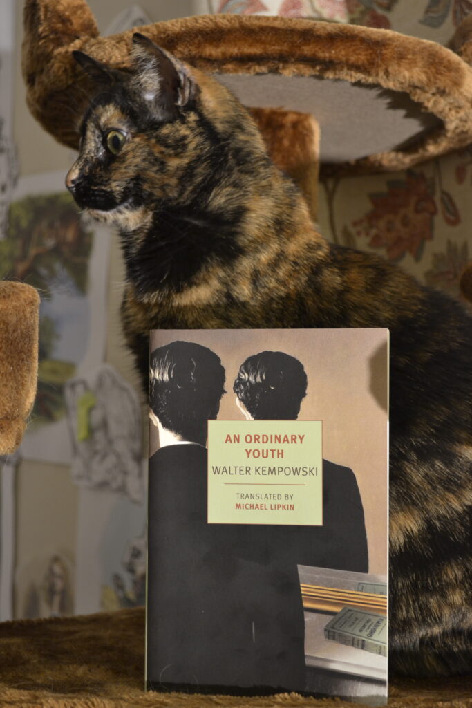 A tortoiseshell cat sits tall behind a book: An Ordinary Youth by Walter Kempowski.
