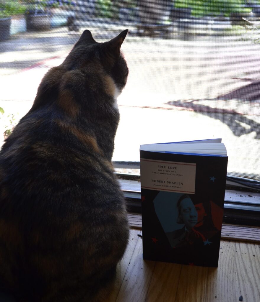 A calico tabby looks outside through a screen door. A book sits beside her.