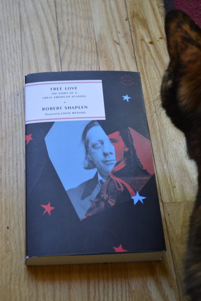 Free Love by Robert Shaplen has a black cover with blue and red hand-drawn stars on it. In a broken blue and red heart cutout is a picture of Henry Ward Beecher.