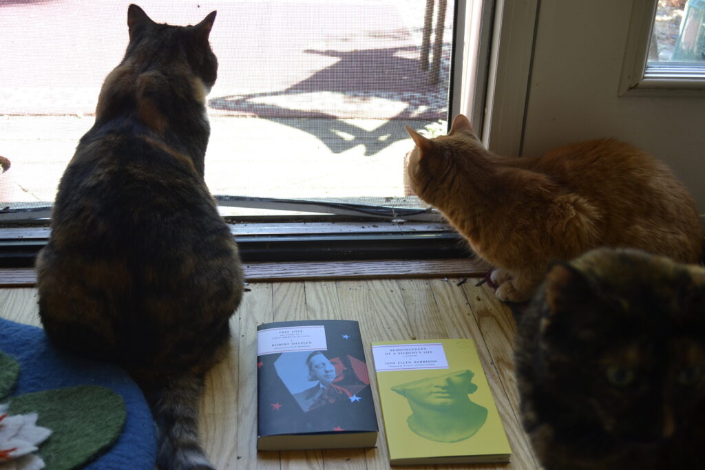 Two books sit in front of a screen door, surrounded by a calico tabby, an orange tabby, and a tortoiseshell cat.