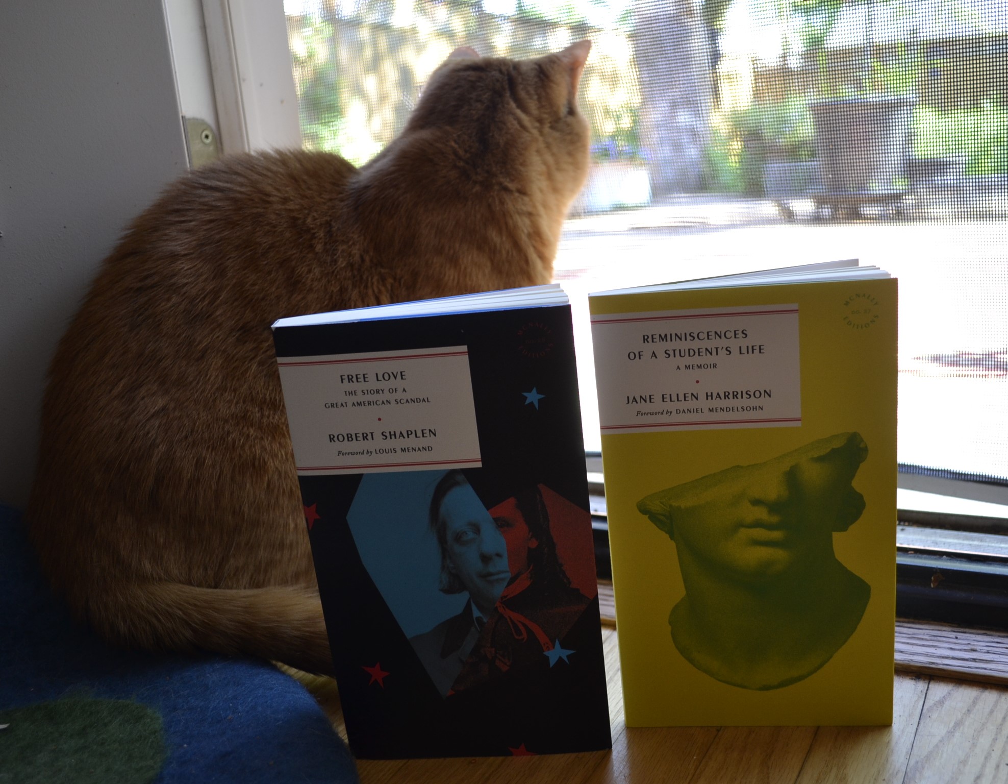 An orange cat looks out a window. In front of her are two books: Free Love and Reminiscences of a Student's Life.