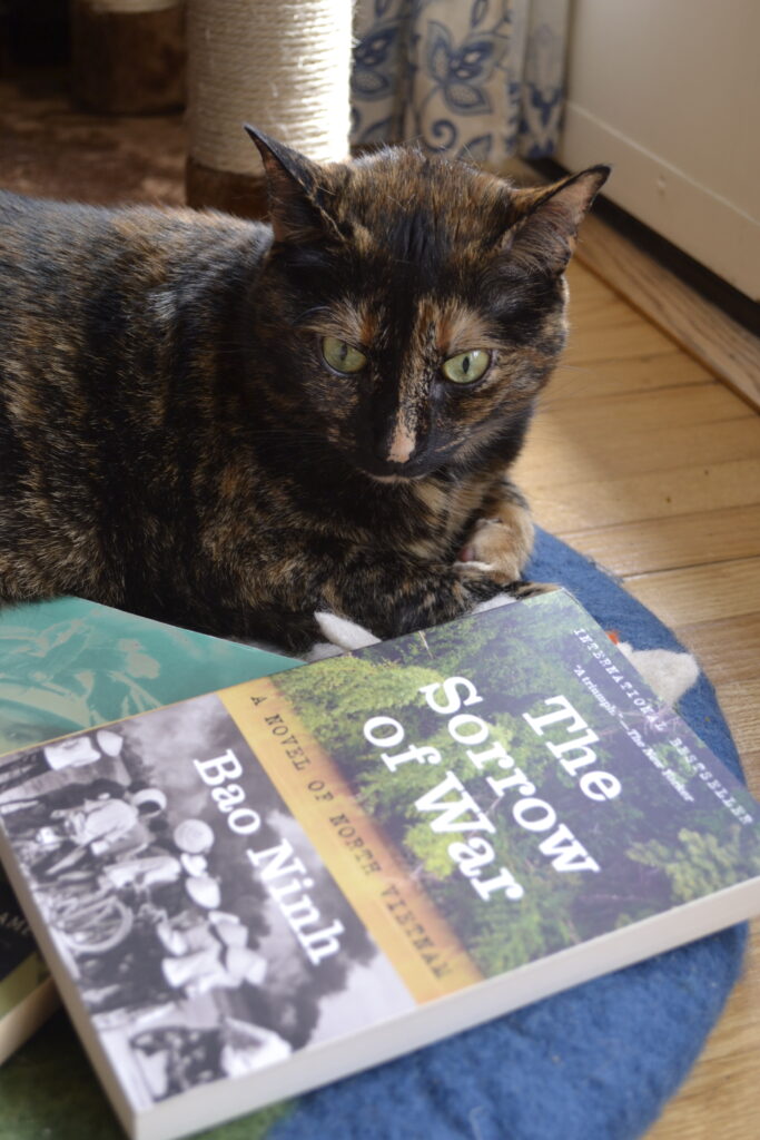 A tortoiseshell cat sits beside a book: Bao Ninh's The Sorrow of War.