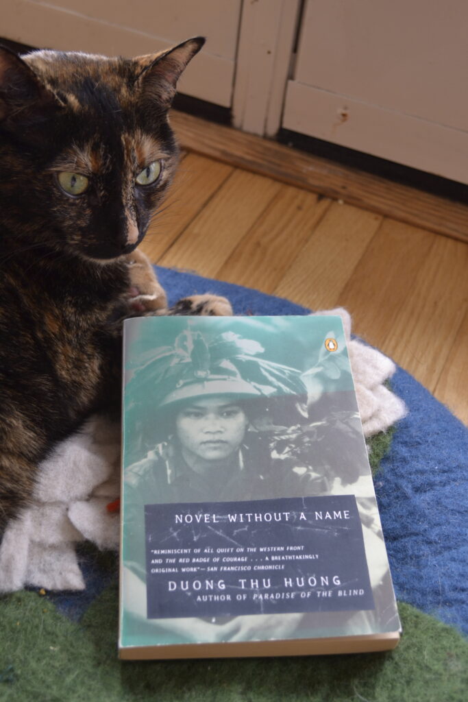 A tortoiseshell cat sits beside a book: Duong Thu Huong's Novel Without a Name.
